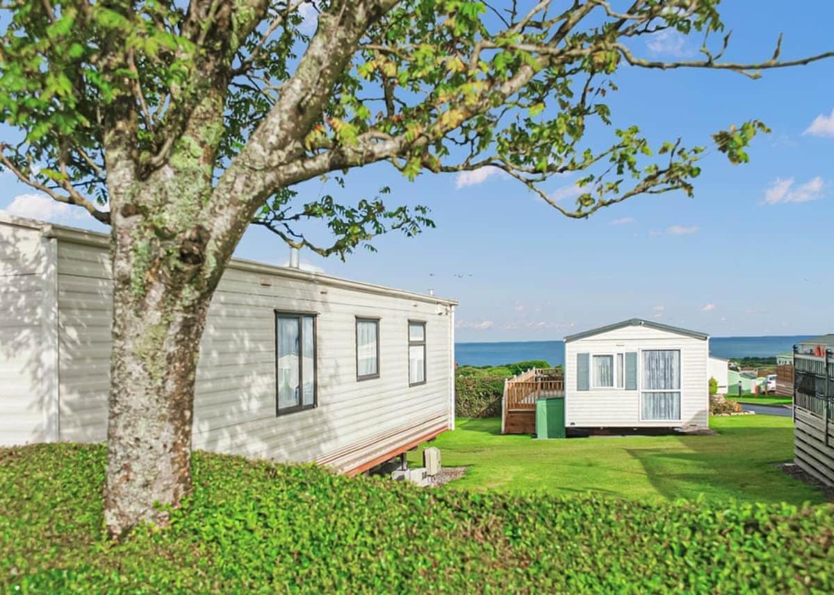 Ocean Heights Holiday Park New Quay  Exteriör bild
